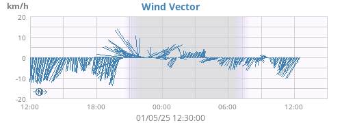 Wind Vector