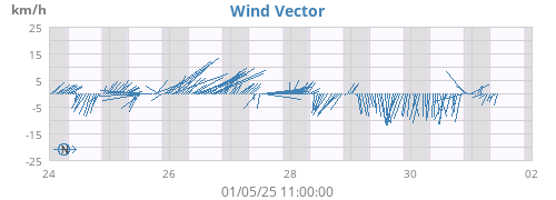 Wind Vector